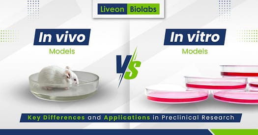 In Vivo vs In Vitro Models