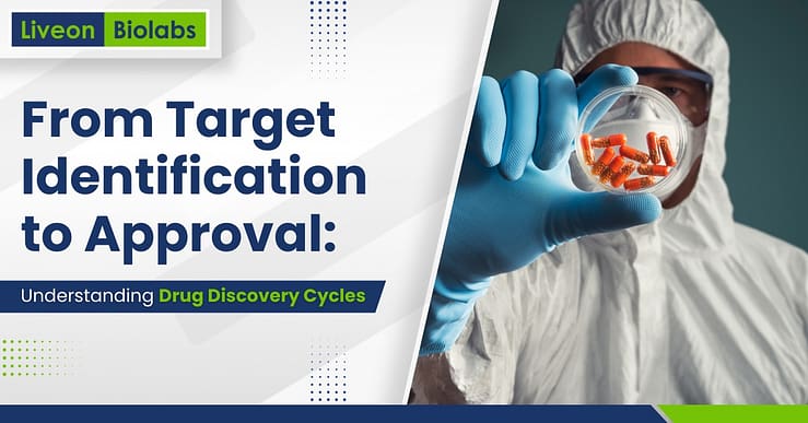 Drug Discovery Cycle